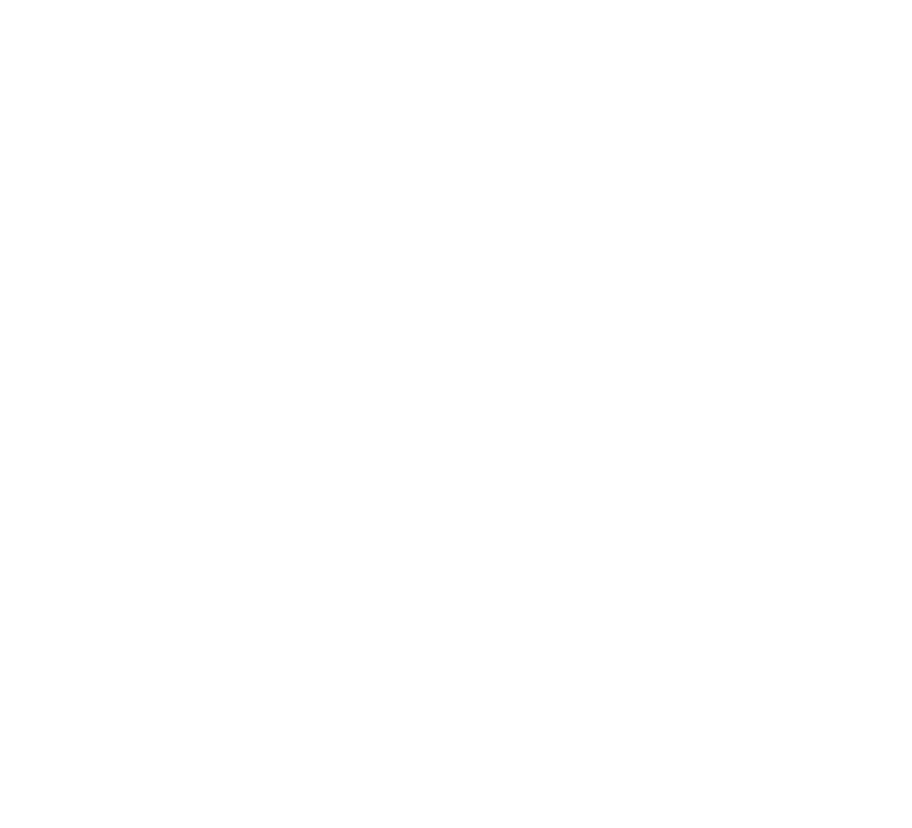 Briki Chiki Logo